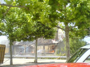 DSC00926       